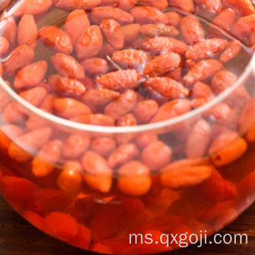 Ningxia Organic Dry Goji Berry dengan Harga Rendah